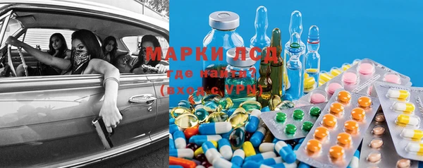 ПСИЛОЦИБИНОВЫЕ ГРИБЫ Абаза