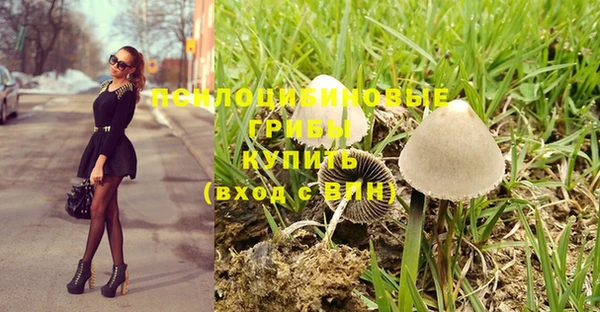 ПСИЛОЦИБИНОВЫЕ ГРИБЫ Абаза